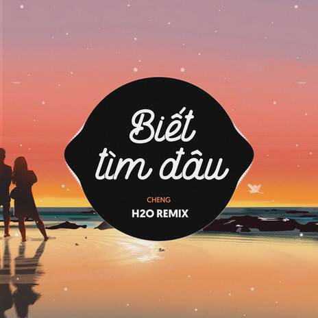 Biết Tìm Đâu (Remix EDM) ft. Cheng | Boomplay Music