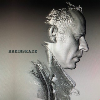 Breinskade