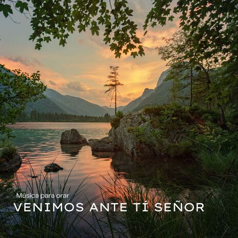 Venimos ante tí Señor | Boomplay Music