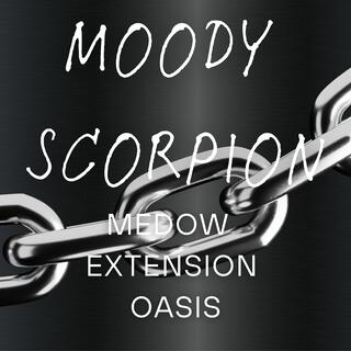 Meadow Extension Oasis