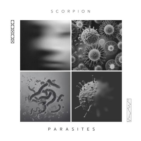 PARASITES ft. D.Scorpion | Boomplay Music