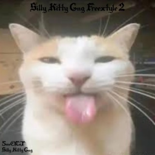 silly kitty gng freextyle 2