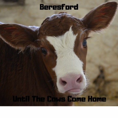 Until The Cows Come Home (Original Mix)