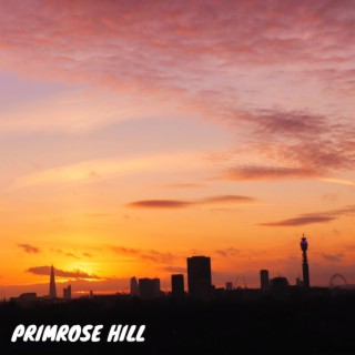 Primrose Hill