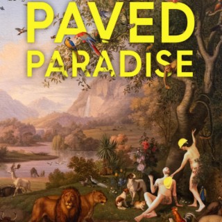 Paved Paradise (Original Motion Picture Soundtrack)