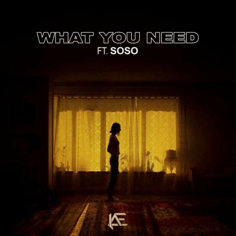 What You Need ft. Soso | Boomplay Music