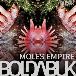 Moles Empire