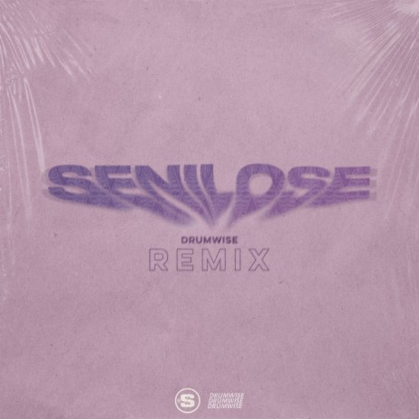 SeniLose (DRUMWISE Remix) ft. DRUMWISE | Boomplay Music