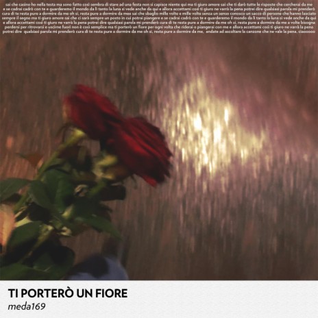 Ti porterò un fiore | Boomplay Music