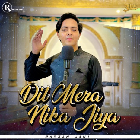 Dil Mera Nika Jiya | Boomplay Music