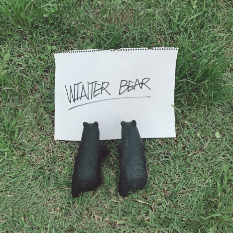 Winter Bear | Boomplay Music