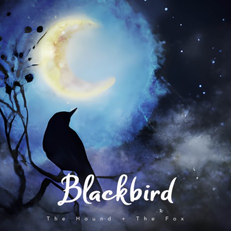 Blackbird | Boomplay Music