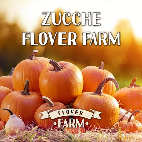 ZUCCHE FLOVER FARM ft. Raffaella Pirovano | Boomplay Music