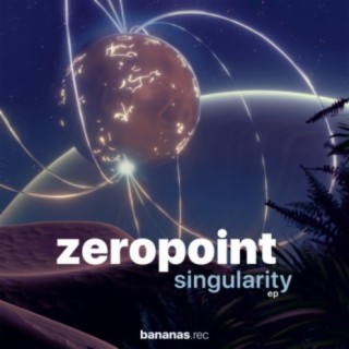 Zeropoint