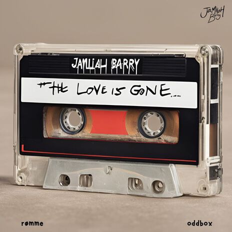 The Love Is Gone | Boomplay Music