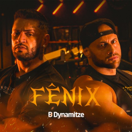 Fênix | Boomplay Music