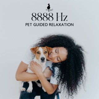 8888 Hz: Pet Guided Relaxation - Calm Dogs Abundance Music