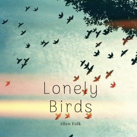 Lonely Birds | Boomplay Music