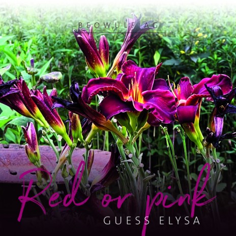 Red or Pink Guess Elisa | Boomplay Music