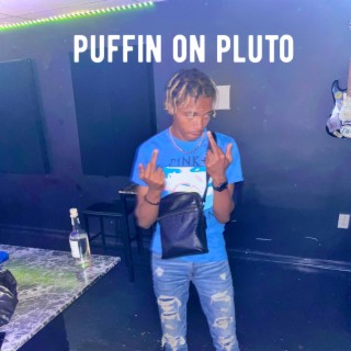 Puffin on Pluto