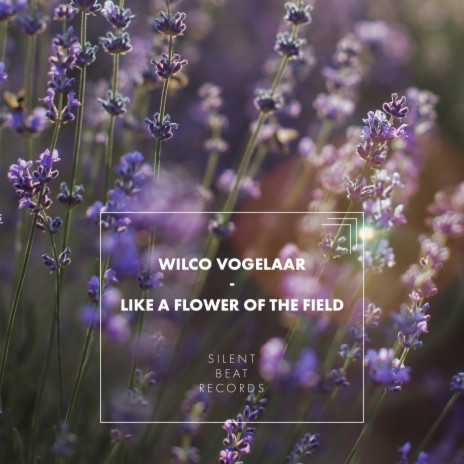 Like a Flower of the Field | Boomplay Music