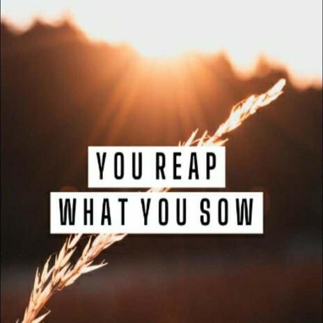 You Reap What You Sow | Boomplay Music