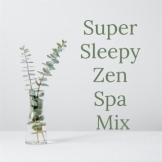 Super Sleepy Zen Spa Mix