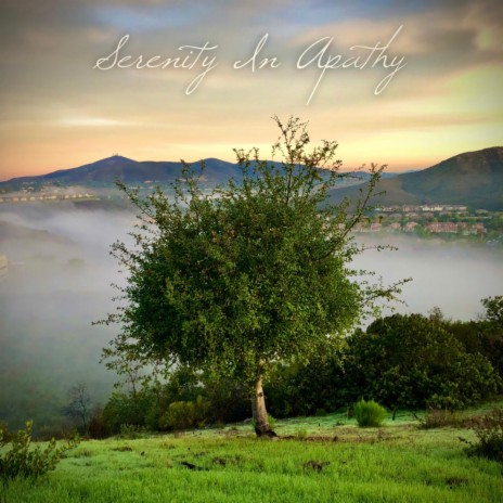 Serenity In Apathy | Boomplay Music