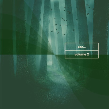 Life in the Forest ft. Sleepy Soundscapes | Boomplay Music