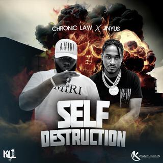 Self Destruction ft. Chronic Law lyrics | Boomplay Music