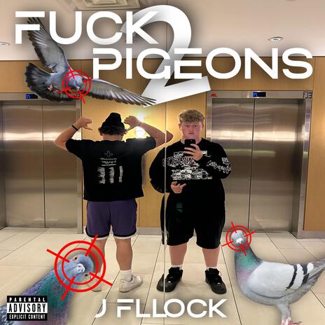 Fuck Pigeons 2