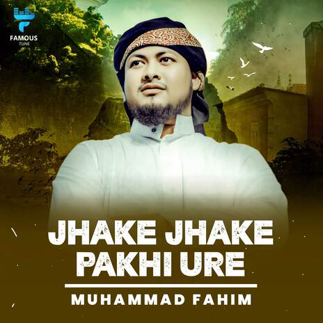 Jhake Jhake Pakhi Ure | Boomplay Music