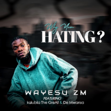 Why You Hating | Boomplay Music