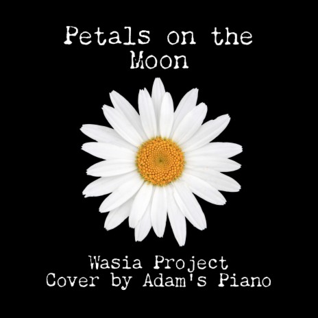 Petals on the Moon (Piano Cover) | Boomplay Music