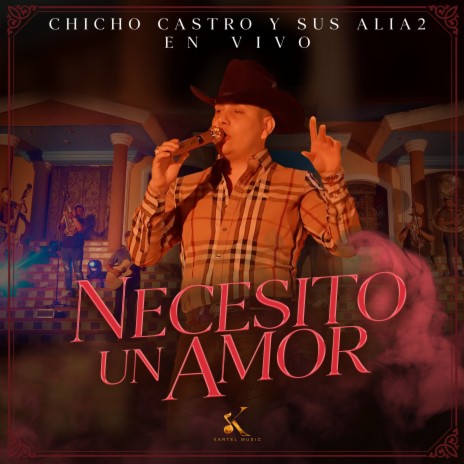 Necesito Un Amor (En Vivo) | Boomplay Music