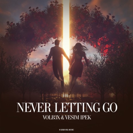 Never Letting Go (Original Mix) ft. Vesim Ipek
