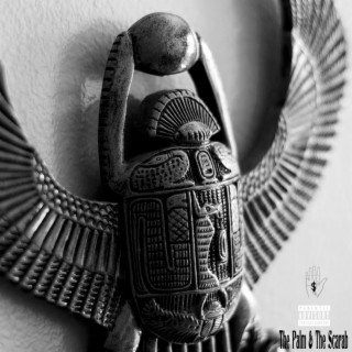 The Palm & The Scarab