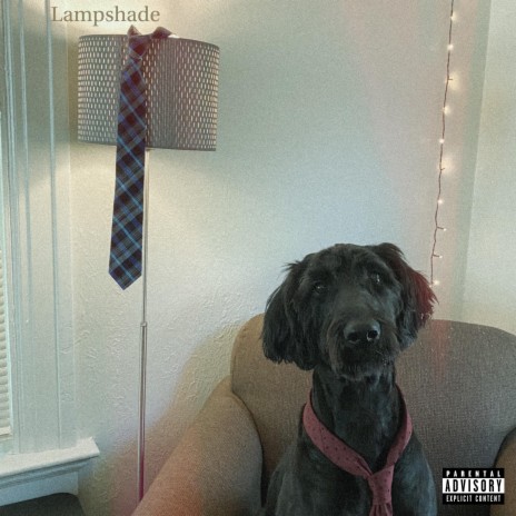 Lampshade | Boomplay Music