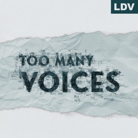 Too Many Voices | Boomplay Music