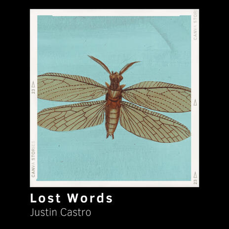 Lost Words | Boomplay Music