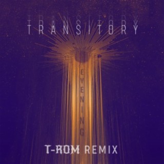 Transitory Evening (Afro Travel) (feat. Haji Mike) (T-ROM Remix)