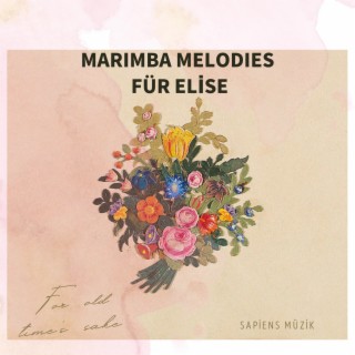 Marimba Melodies: Für Elise