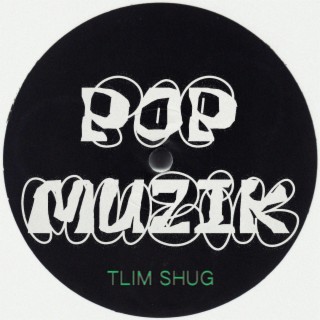 pop muzik