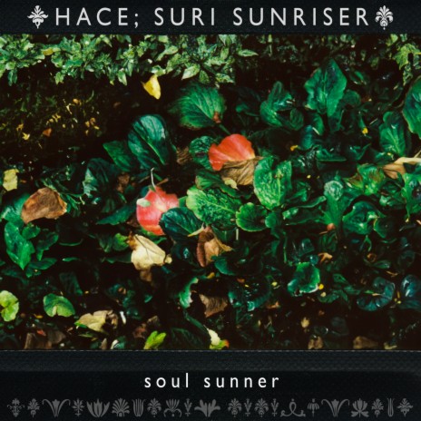 soul sunner ft. Suri Sunriser