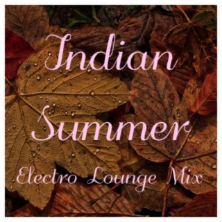 Indian Summer Electro Lounge Mix