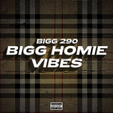 Bigg Homie Vibes | Boomplay Music