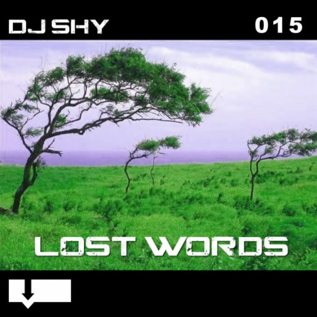 Lost Words (Original Mix) | Boomplay Music