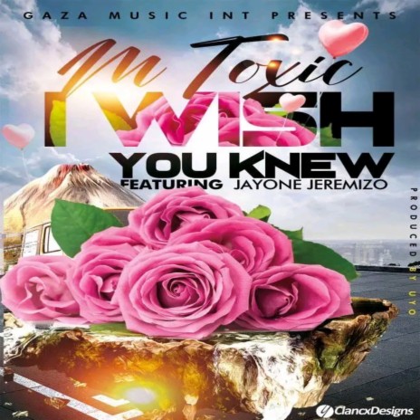 I wish you knew ft. JEREMIZO | Boomplay Music