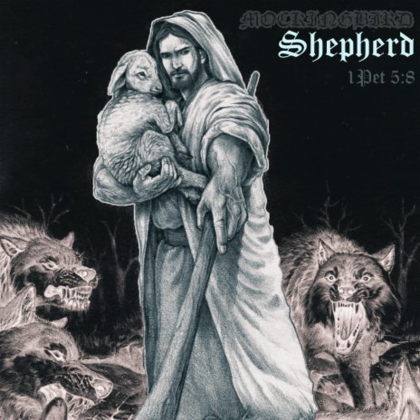 Shepherd | Boomplay Music