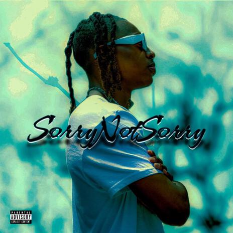 Sorry Not Sorry | Boomplay Music